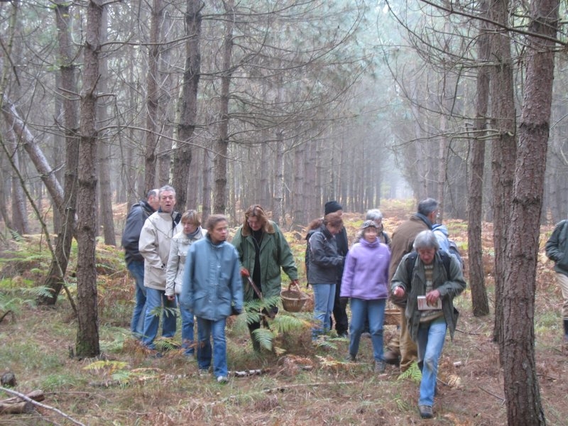 2006 11 Mycobocquet 10